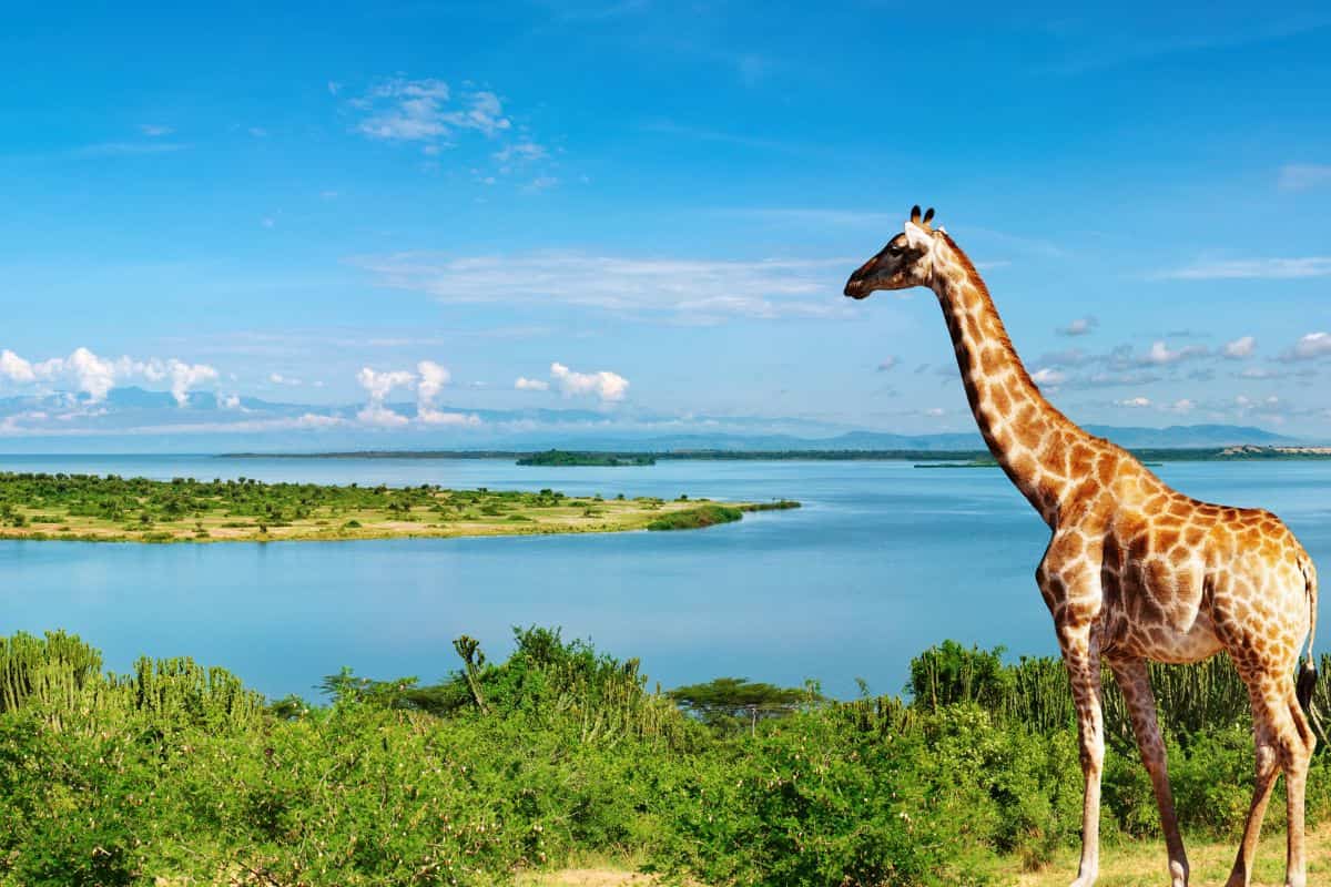 Tours in Uganda