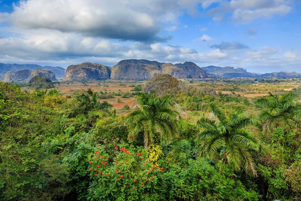 Vinales Valley UNESCO sites Viñales Valley