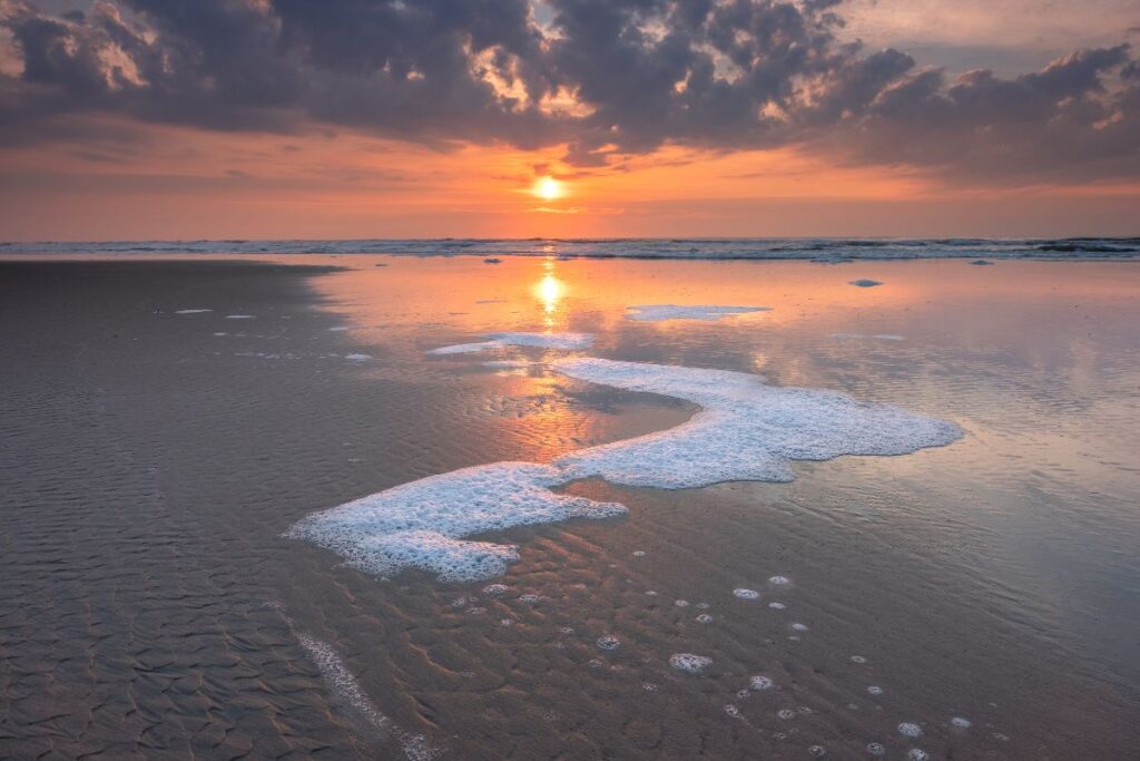 Wadden Sea 1 UNESCO sites Wadden Sea