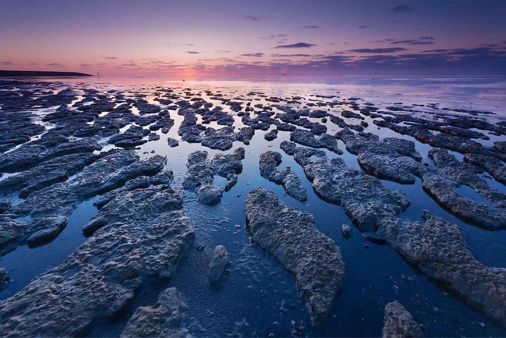 Wadden Sea UNESCO sites Wadden Sea