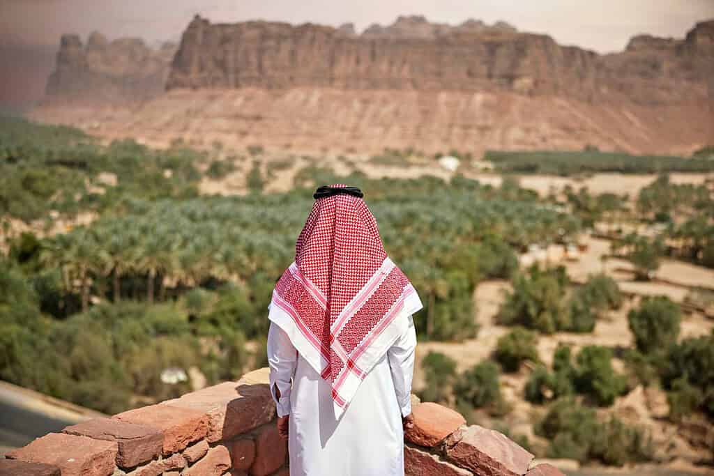 Tours in Saudi Arabia