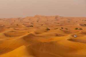 Tours in the United Arab Emirates