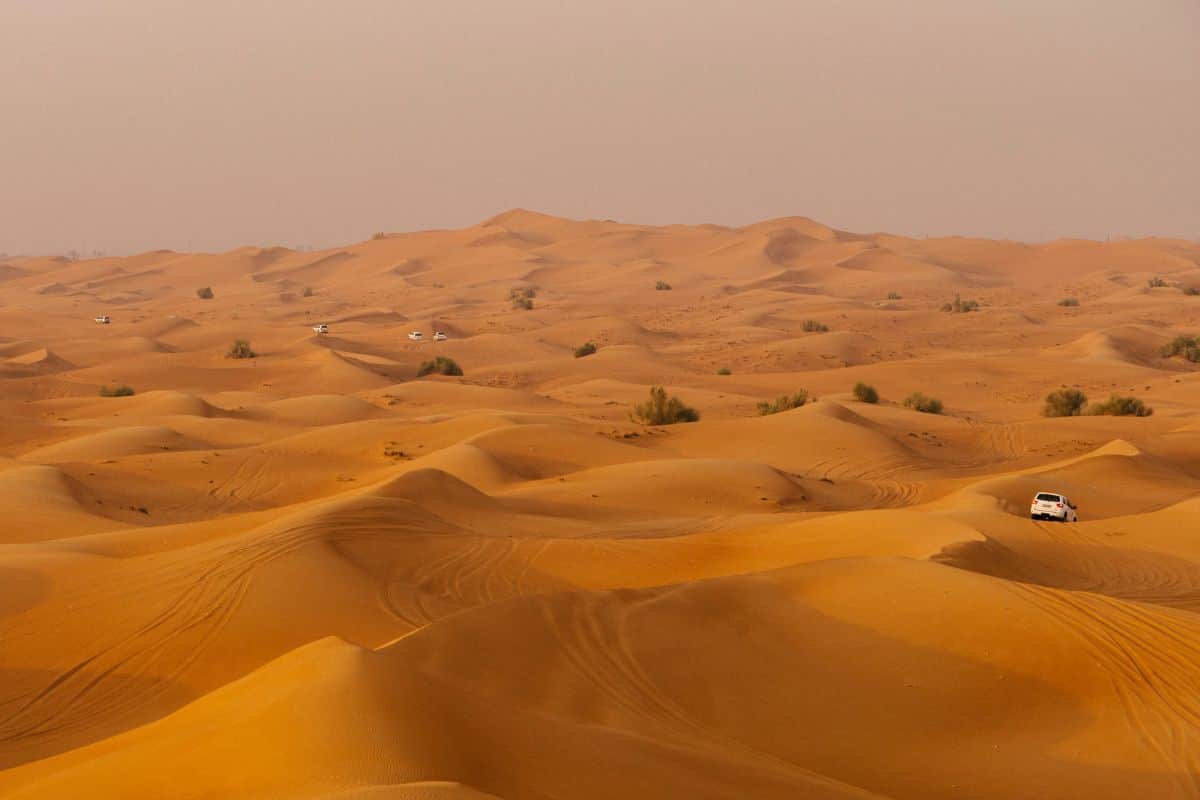 Tours in the United Arab Emirates 1 Travel Destinations Tours in the United Arab Emirates