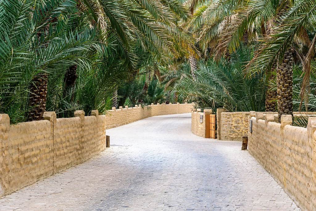 Al Ain Oasis 4 Al Ain Oasis