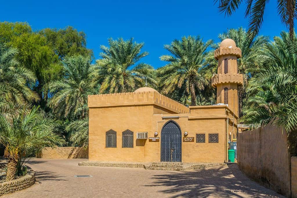 Al Ain Oasis UAE 2 Where Al Ain Oasis - UAE
Where is UAE located