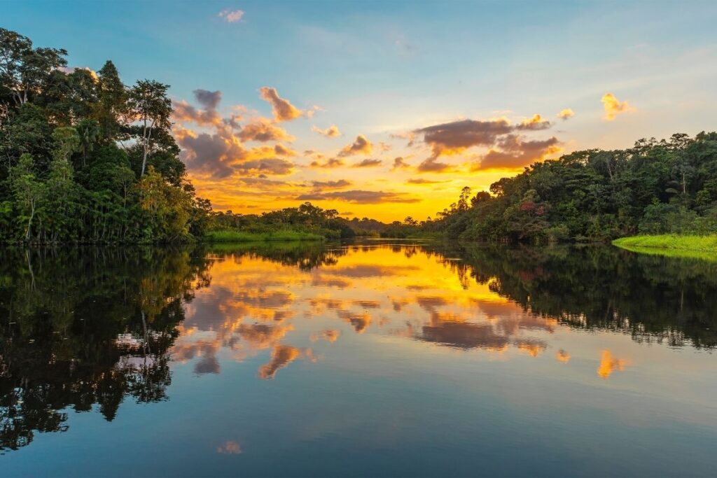 Amazon Rainforest Multiple Countries