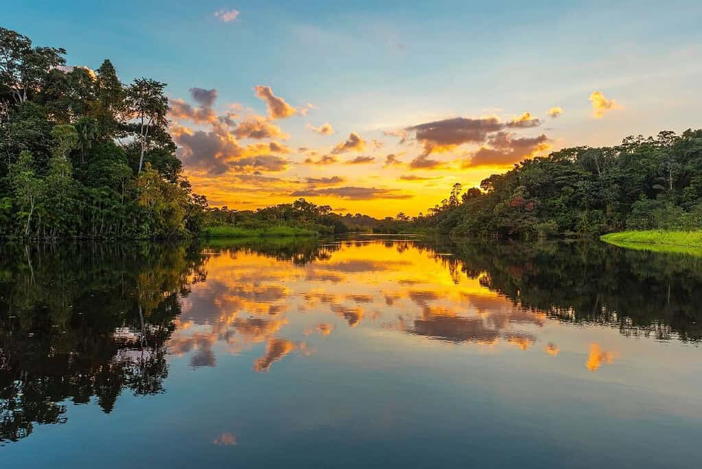 Amazon Rainforest Multiple Countries General Amazon Rainforest Multiple Countries