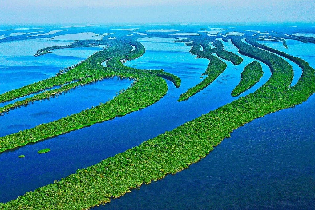 Amazon Rainforest Multiple Countries 3 General Amazon Rainforest Multiple Countries