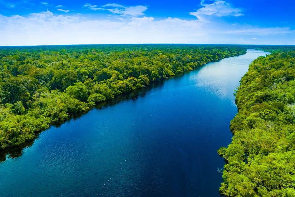 Amazon Rainforest in Brazil and Peru Travel Amazon Rainforest in Brazil and Peru
