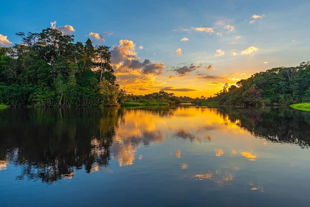 Amazon River Multiple Countries 3 General Amazon River Multiple Countries