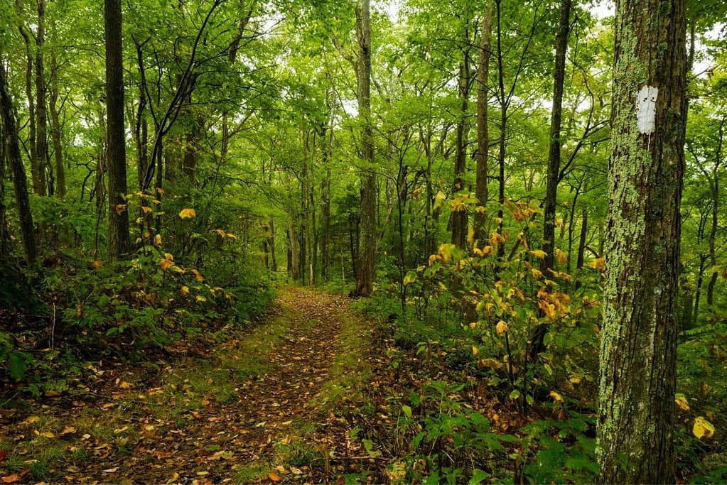 Appalachian Trail USA Travel Appalachian Trail USA