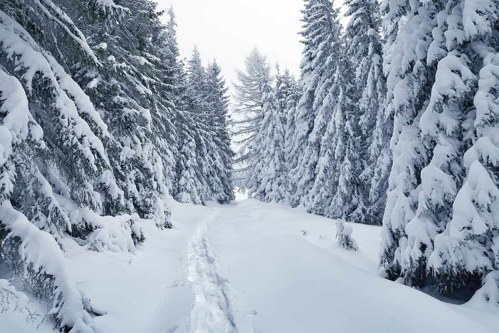 Best Places to Travel in January 1 Monthly Travel 46 Best Places to Travel in January: Winter and Summer Weather Best Places to Travel in January 1