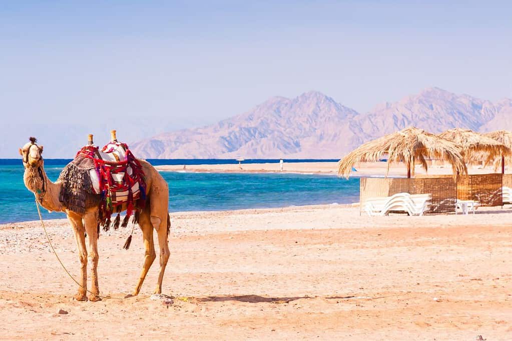Best Places to Travel in January Monthly Travel Best Places to Travel in January