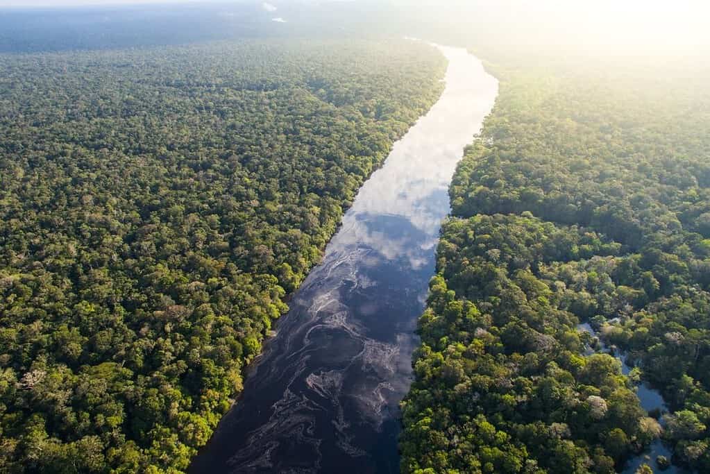 Brazilian Amazon Brazil Brazilian Amazon Brazil
