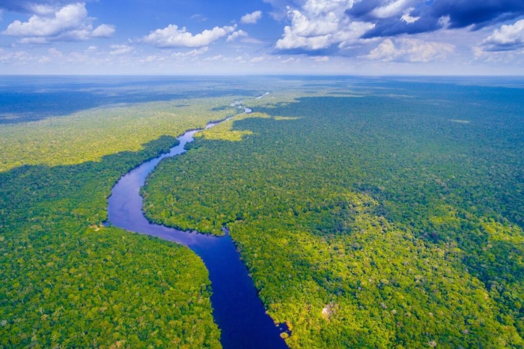 Brazilian Amazon Brazil