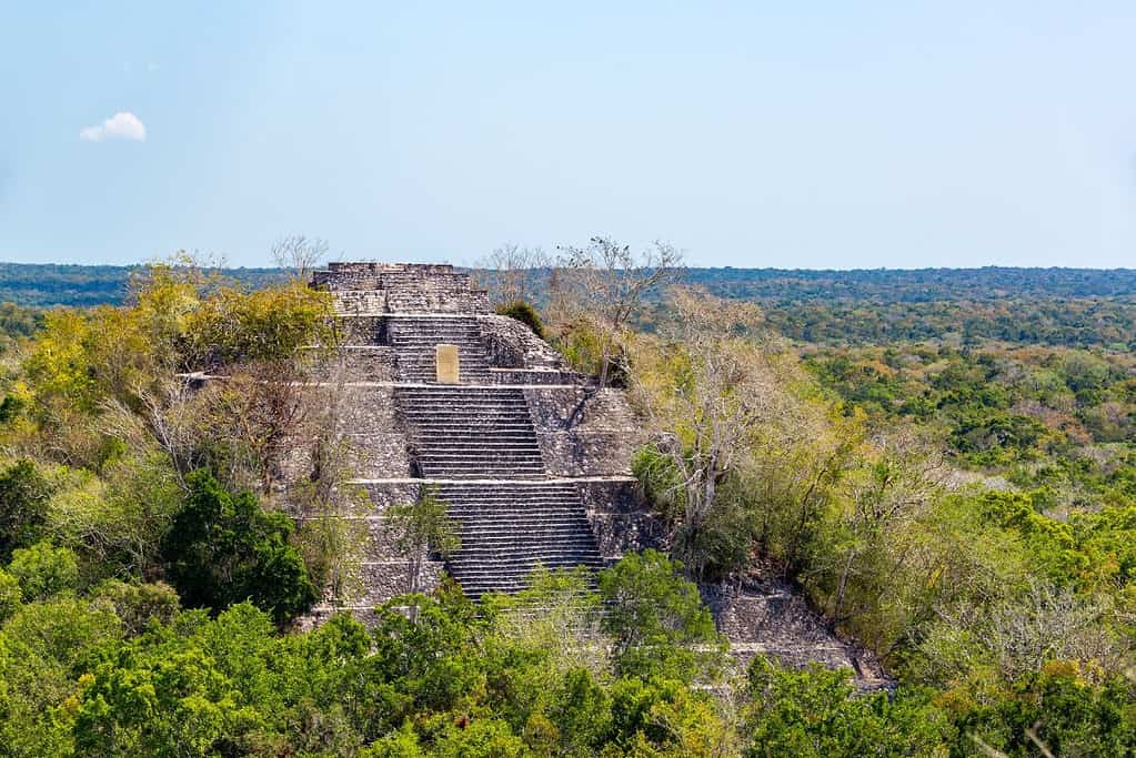 Calakmul 2 Attractions Calakmul