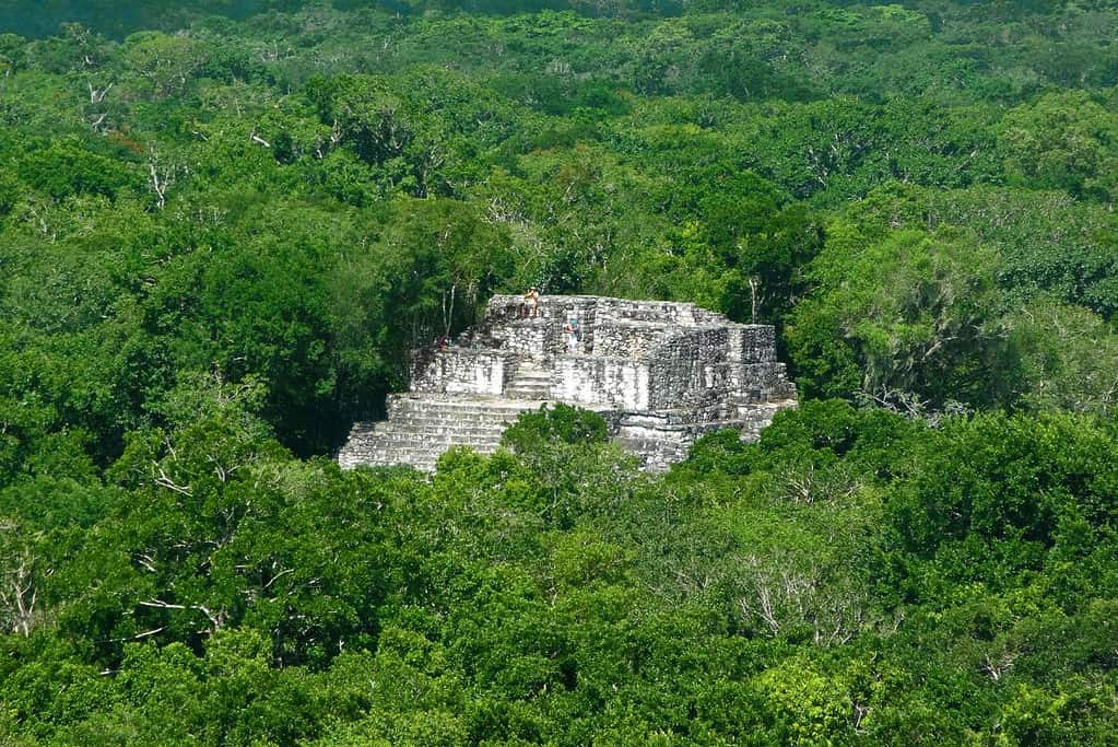 Calakmul 3 Attractions Calakmul