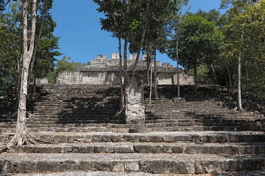 Calakmul 4 Attractions Calakmul