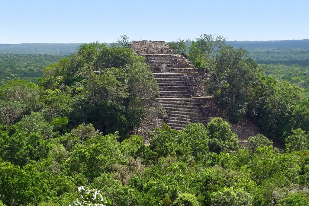 Calakmul 5 Attractions Calakmul