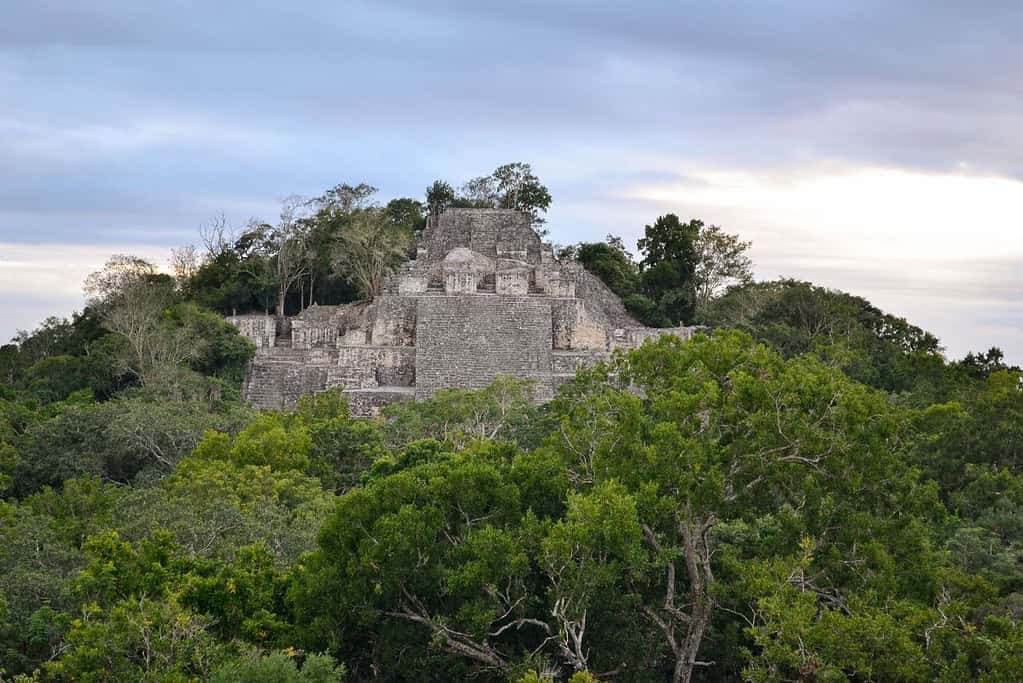 Calakmul 6 Attractions Calakmul