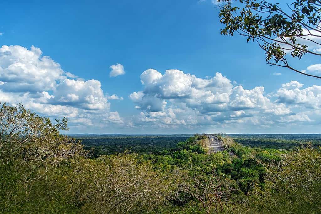 Calakmul 7 Attractions Calakmul