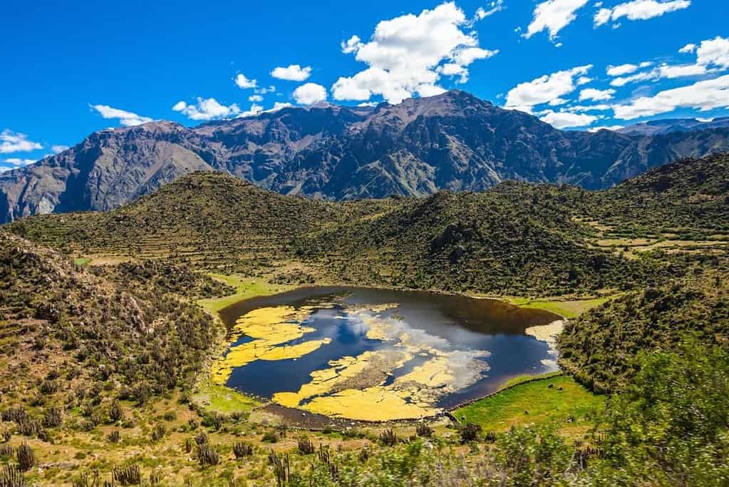 Colca Canyon Peru General Colca Canyon Peru