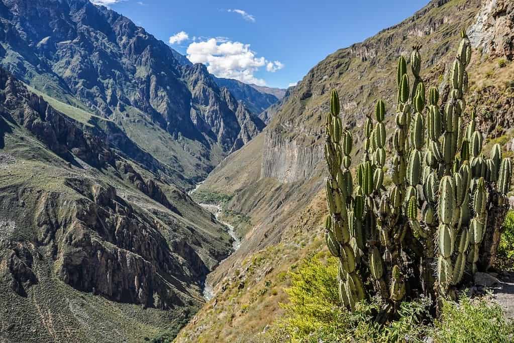Colca Canyon Peru 4 General Colca Canyon Peru