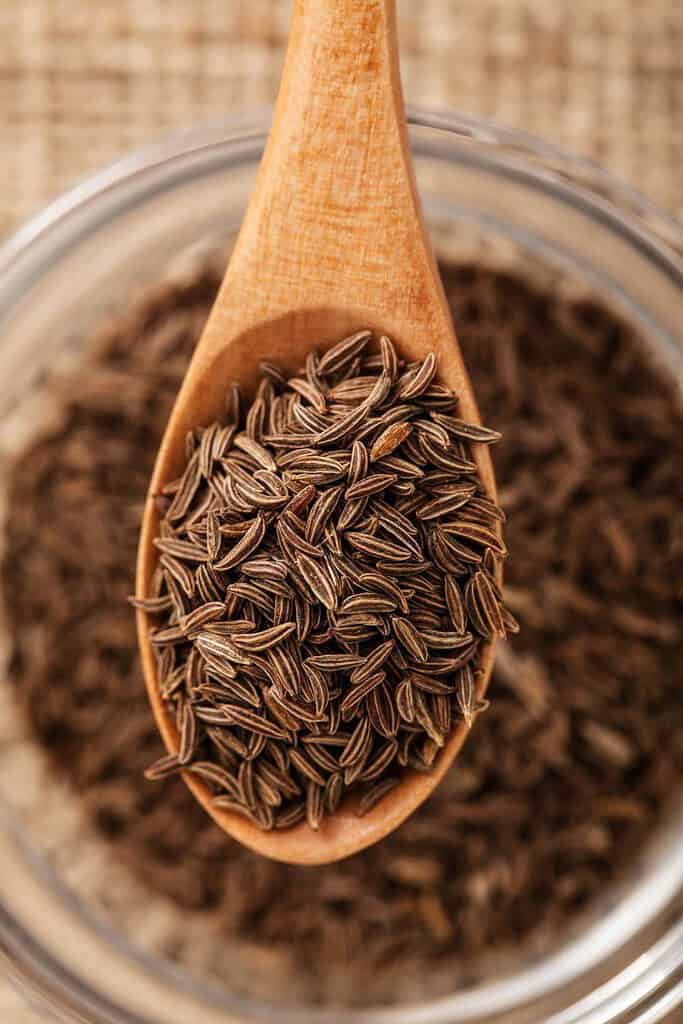 Cumin Food of Iraq Iraq, Food Cumin Food of Iraq