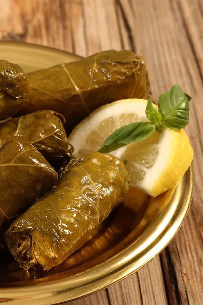 Dolma Iraqi Foods Iraq, Food Dolma Iraqi Foods
