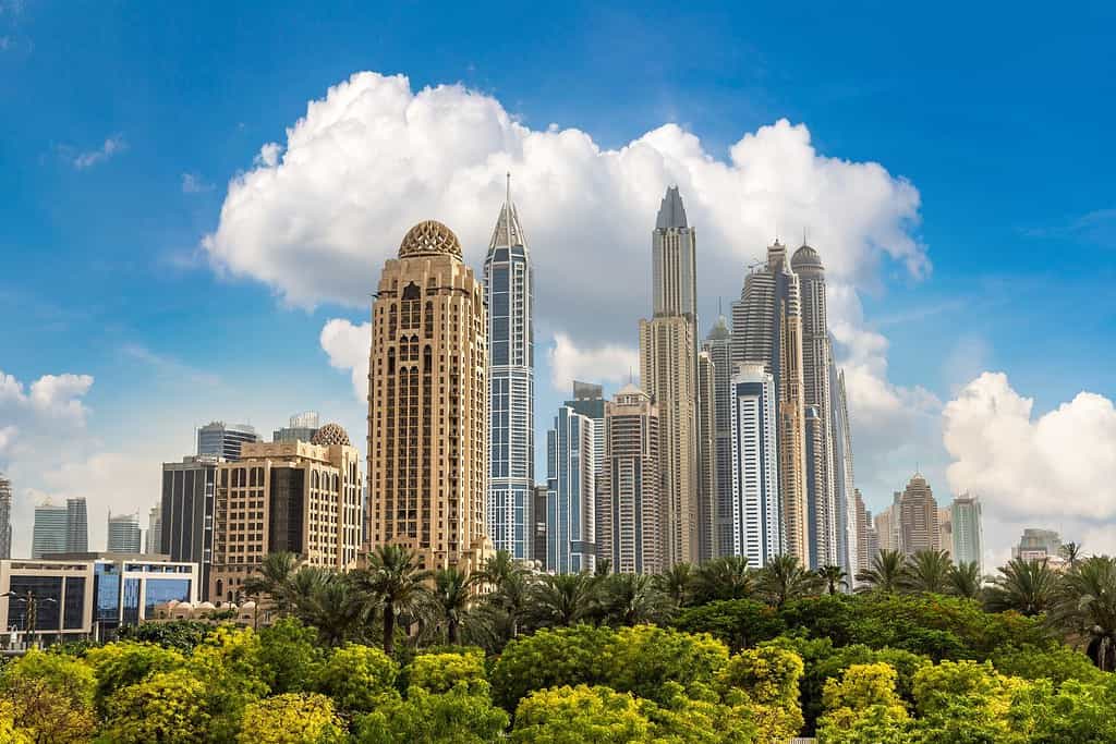Dubai Marina 5 Dubai Marina