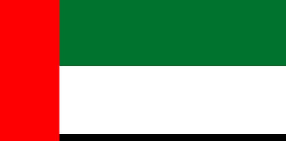 Emirati flag