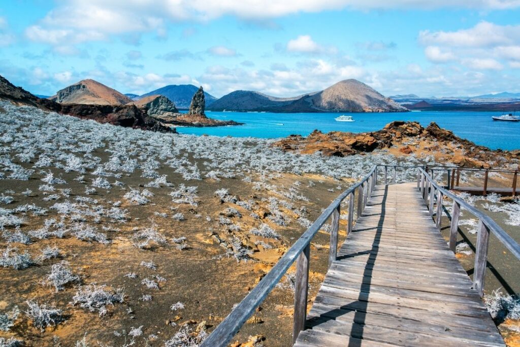 Galapagos Islands Ecuador