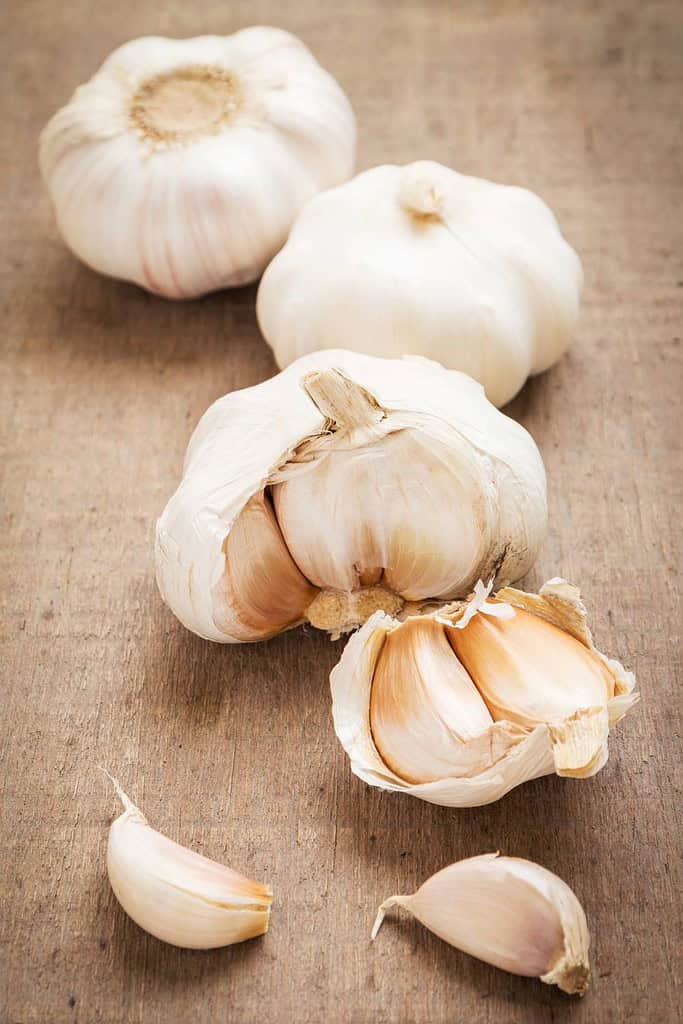 Garlic Food of Iraq Iraq, Food Food from Iraq Garlic Food of Iraq