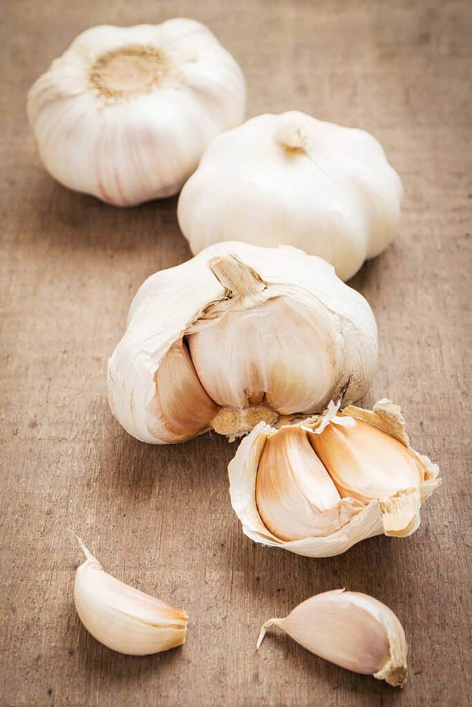 Garlic Food of Syria Syria, Food, Travel Garlic Food of Syria