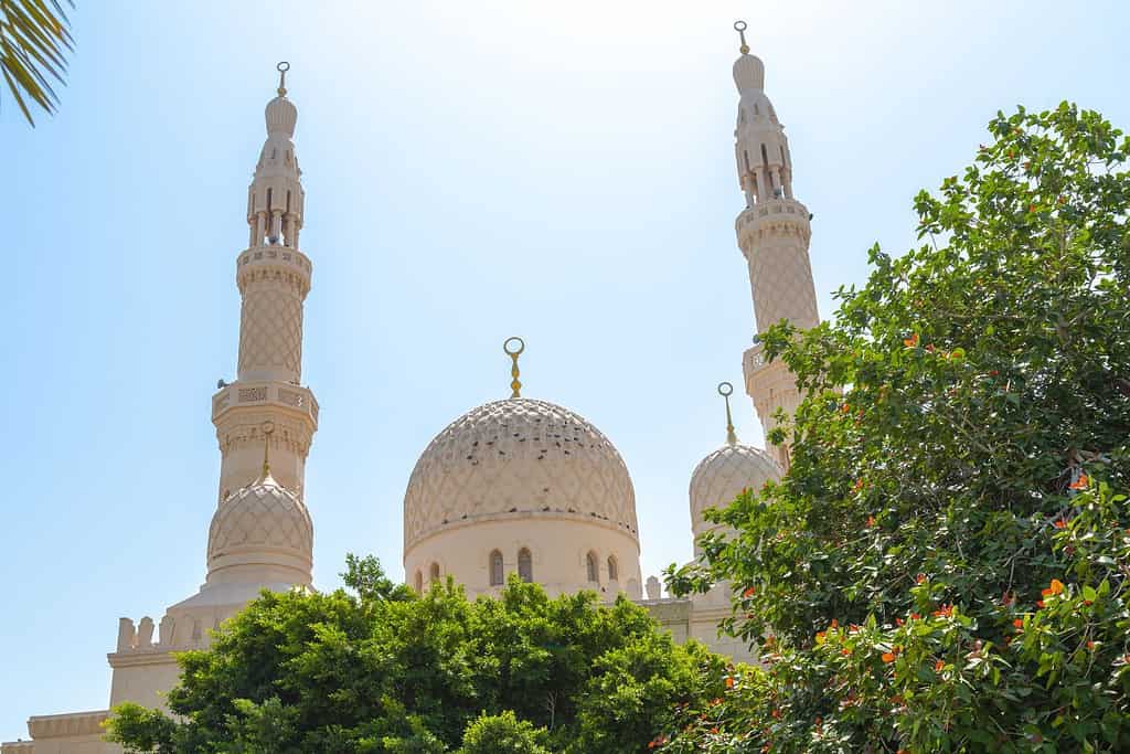 Jumeirah Mosque 5 Jumeirah Mosque
