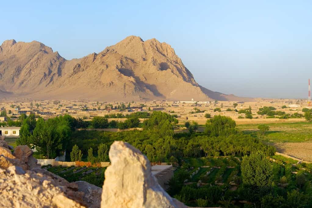 Kandahar Kandahar