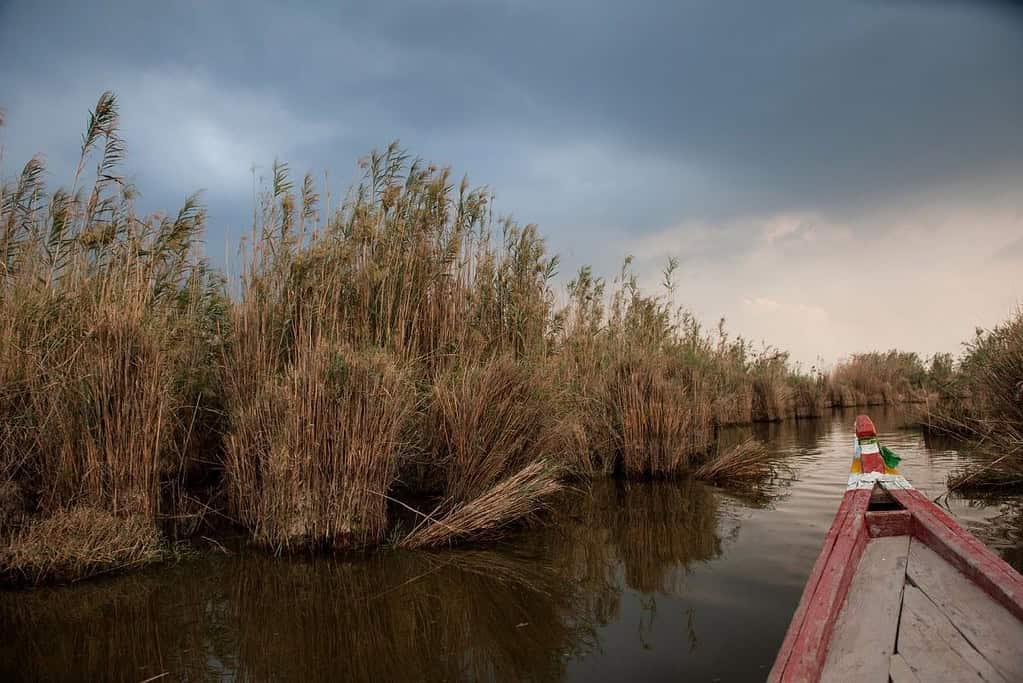 Mesopotamian Marshes of Iraq Travel Mesopotamian Marshes of Iraq