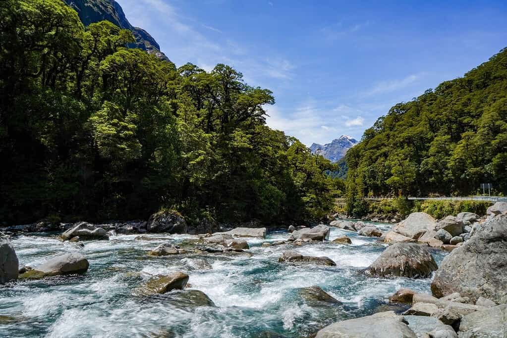Milford Sound New Zealand 2 Milford Sound New Zealand