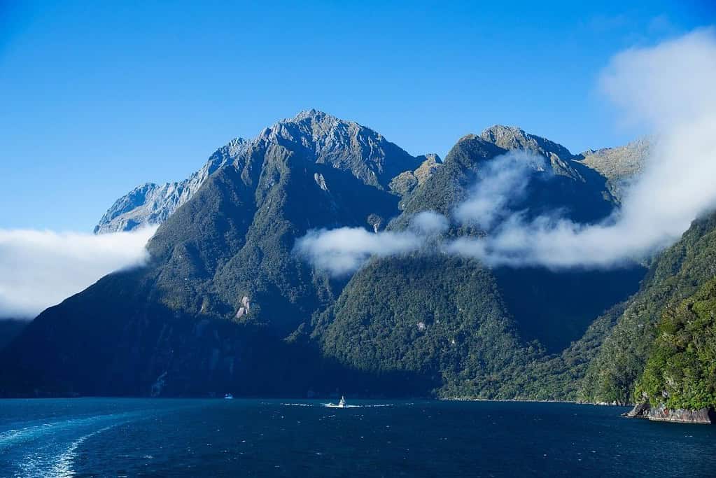Milford Sound New Zealand 4 Milford Sound New Zealand