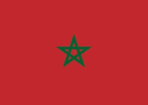 Moroccan flag picture