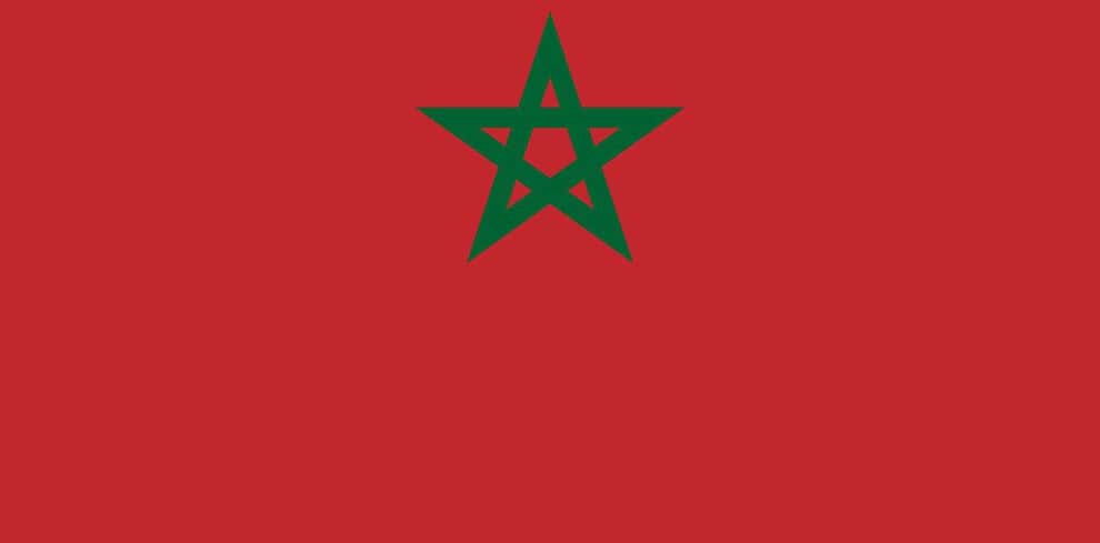 Moroccan flag picture