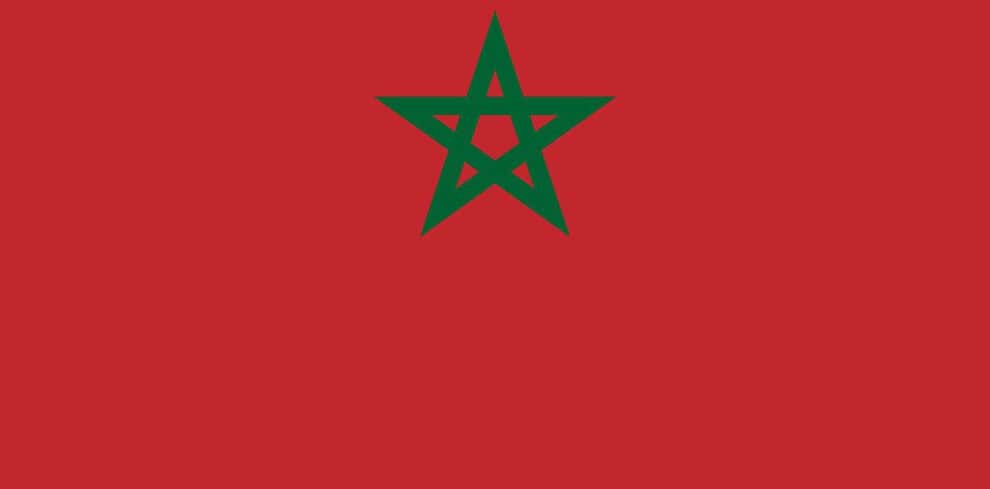 Moroccan flag picture