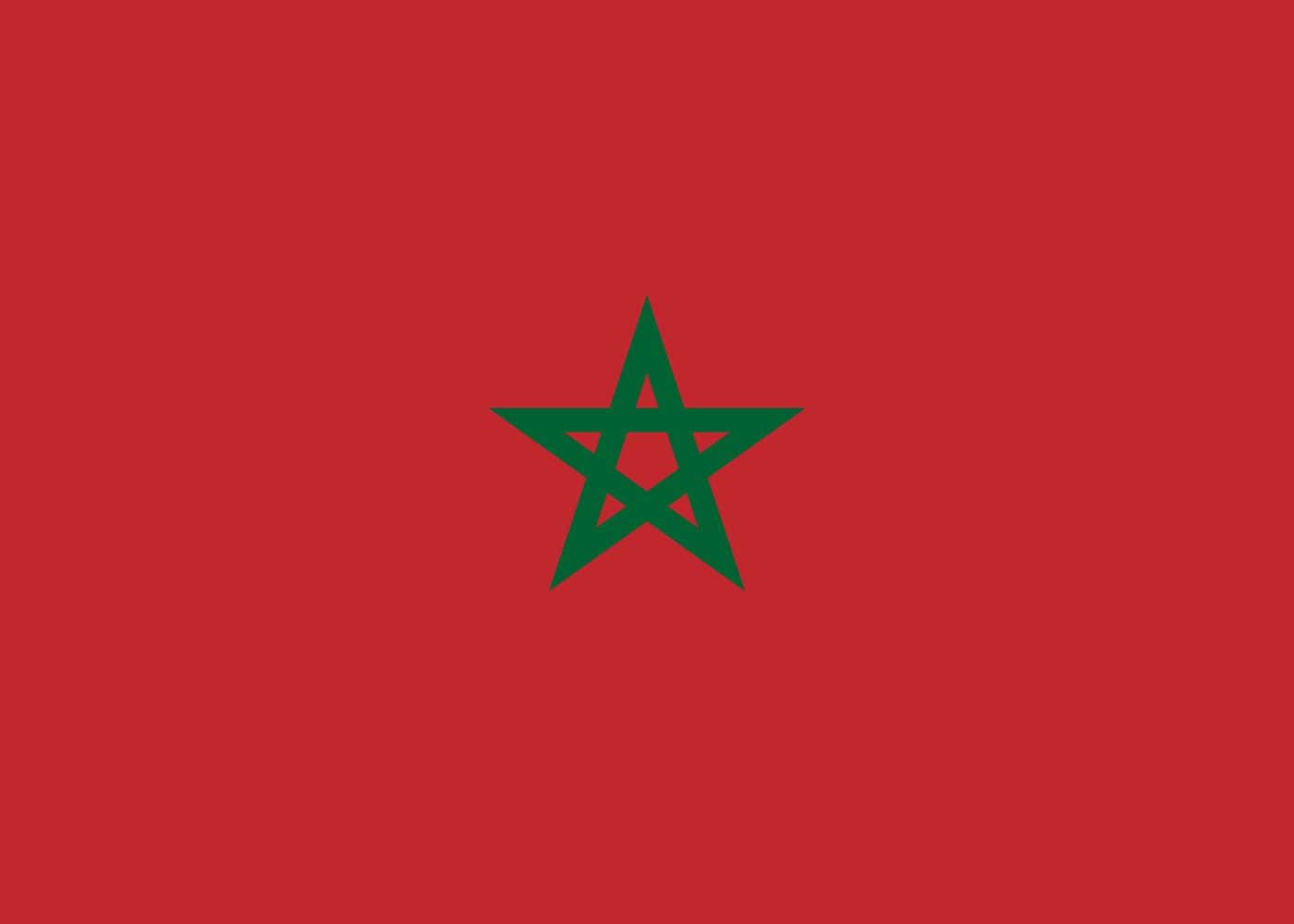 Moroccan flag picture