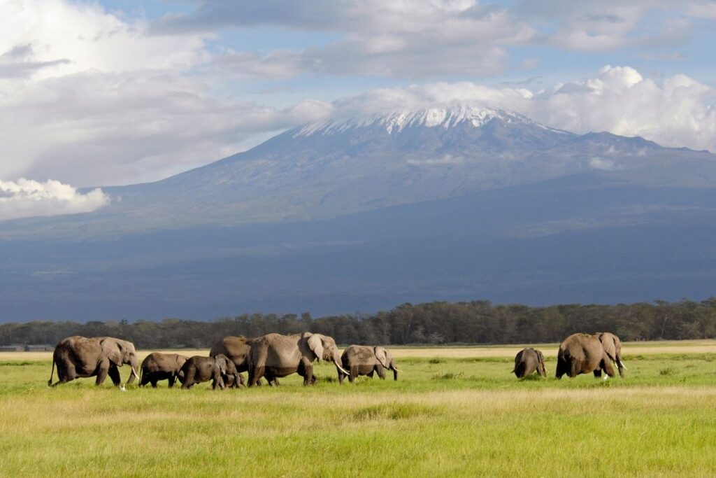 Mount Kilimanjaro Tanzania