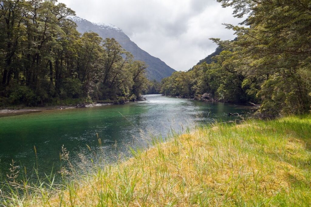 New Zealand's Milford Track