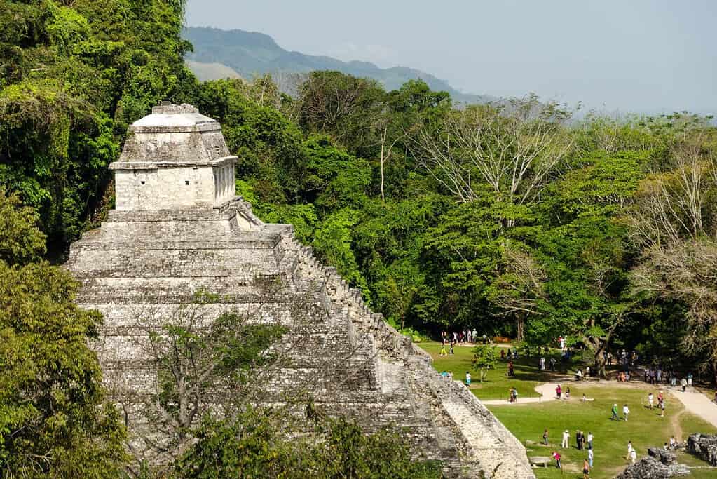 Palenque 10 Attractions Palenque