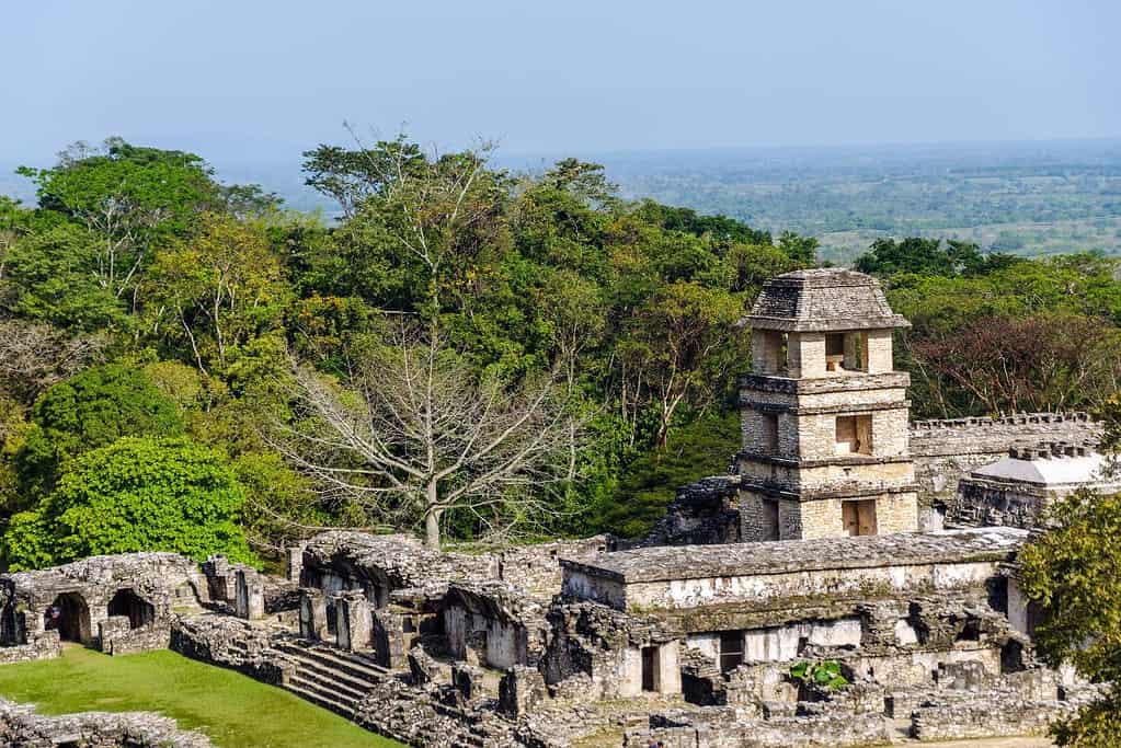 Palenque 4 Attractions Palenque