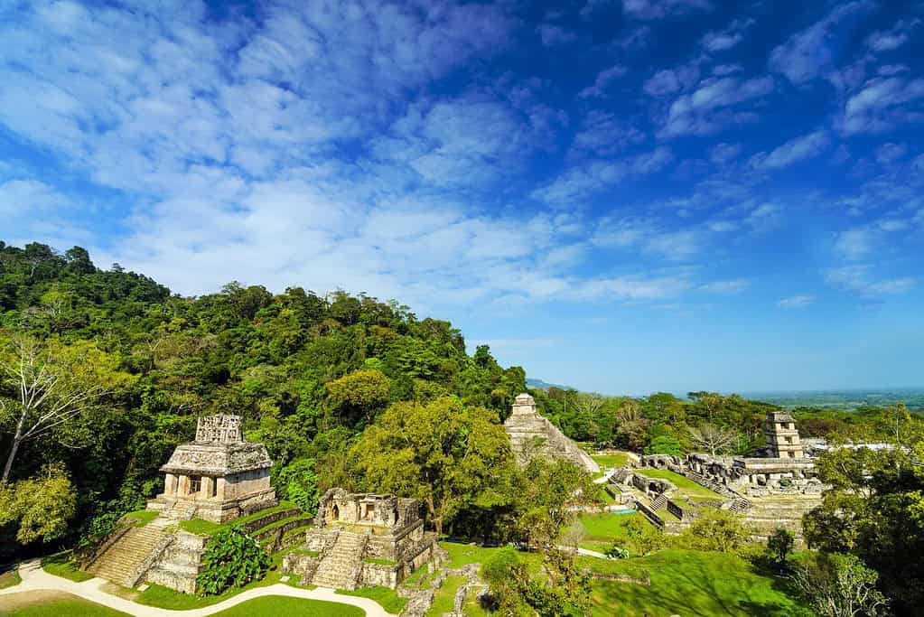 Palenque 7 Attractions Palenque
