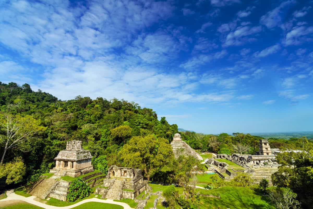 travel agency eco tour palenque