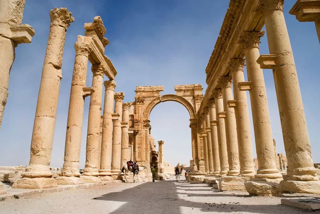 Palmyra Syria Travel Palmyra Syria